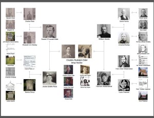 treeseek picture pedigree