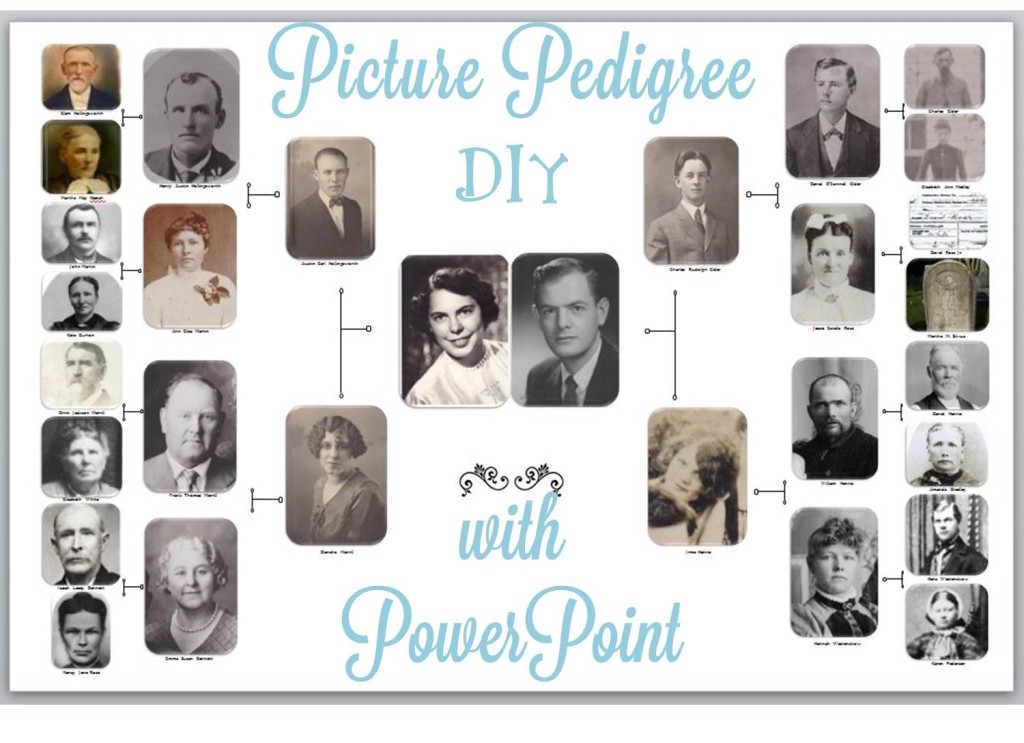 Picture Pedigre DIY title