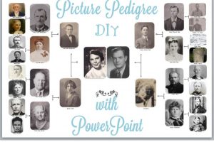 DIY Picture Pedigree Chart