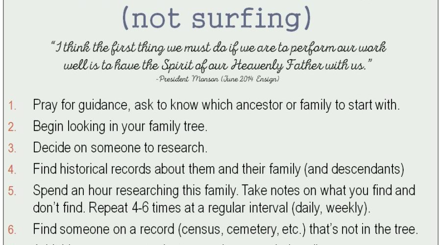 Searching vs. Surfing for A Name