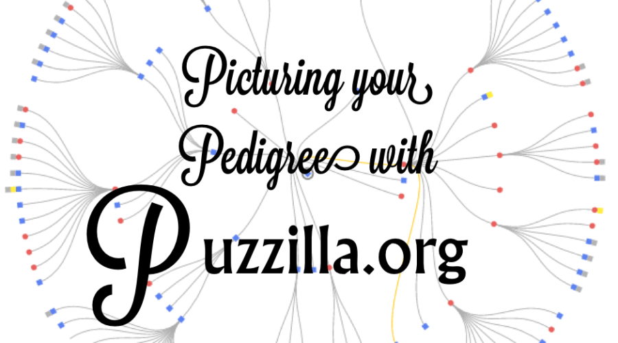 Picturing your Pedigree with Puzzilla.org