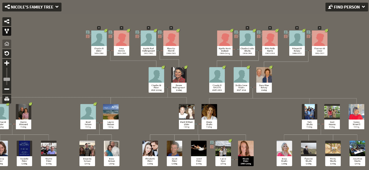 Family view in Ancestry family tree