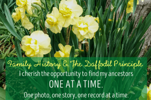 Family History and the Daffodil Principle
