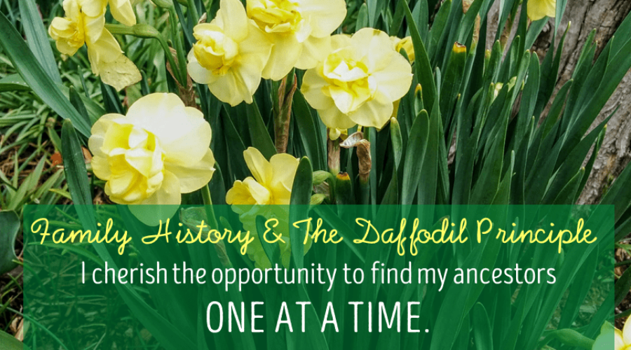 Family History and the Daffodil Principle