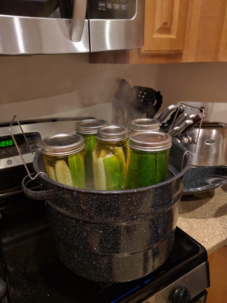dill pickles