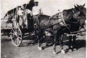 The Adventures of Cowboy Bob: The Covered Wagon Trip and The Train