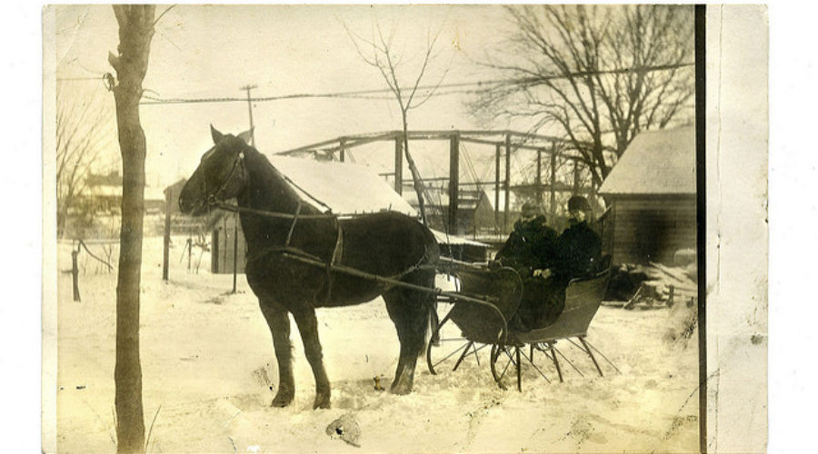 The Adventures of Cowboy Bob: The Big Snowstorm