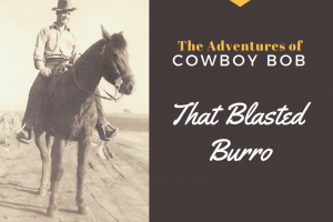 The Adventures of Cowboy Bob: That Blasted Burro