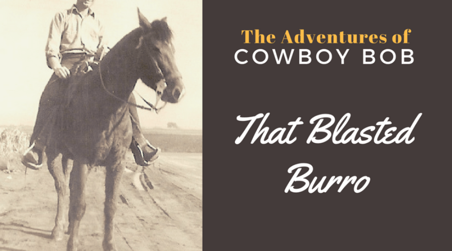The Adventures of Cowboy Bob: That Blasted Burro