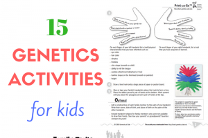 15 Genetics Activities for Kids
