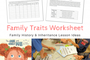 “The One and Only Me” – Family traits book & lesson ideas