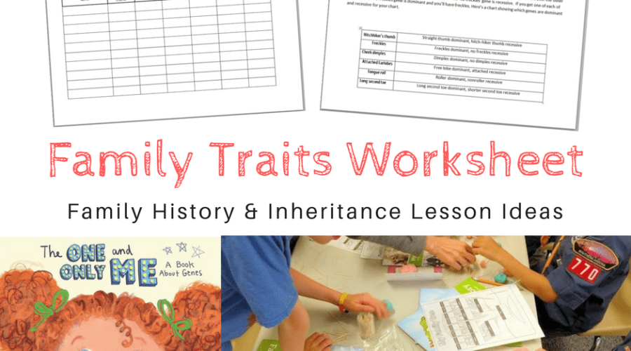 “The One and Only Me” – Family traits book & lesson ideas