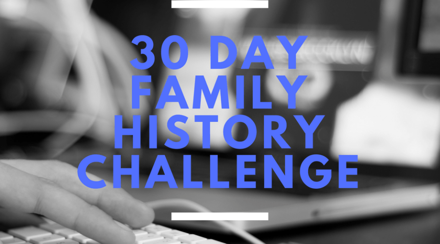 My Thirty Day Challenge: How Researching 30 Minutes a Day Brought Discoveries, Joy and Clarity