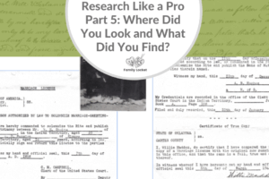 Research Like a Pro, Part 5: Where Did You Look and What Did You Find?