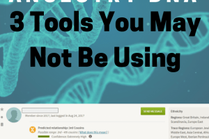 Ancestry DNA Matches: Three Tools You May Not be Using