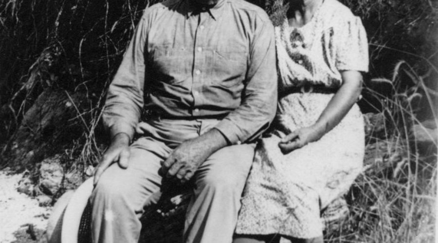 Family History According to Nancy E. Turner, author of “These is My Words- The Diary of Sarah Agnes Prine 1881-1901”
