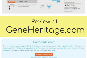 Review of Gene Heritage – a Third Party DNA and Inherited Traits Analysis Tool
