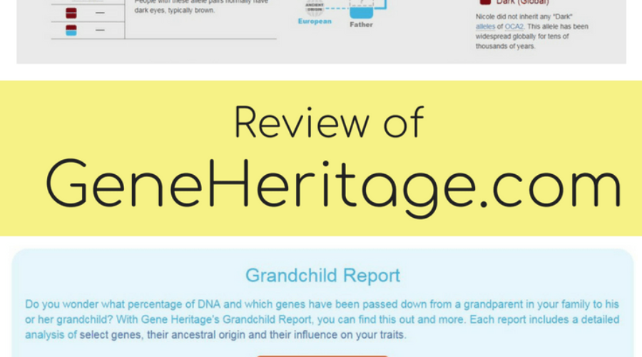 Review of Gene Heritage – a Third Party DNA and Inherited Traits Analysis Tool