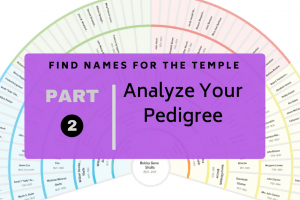 Find Names for the Temple Part 2: Analyze Your Pedigree
