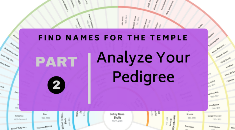 Find Names for the Temple Part 2: Analyze Your Pedigree