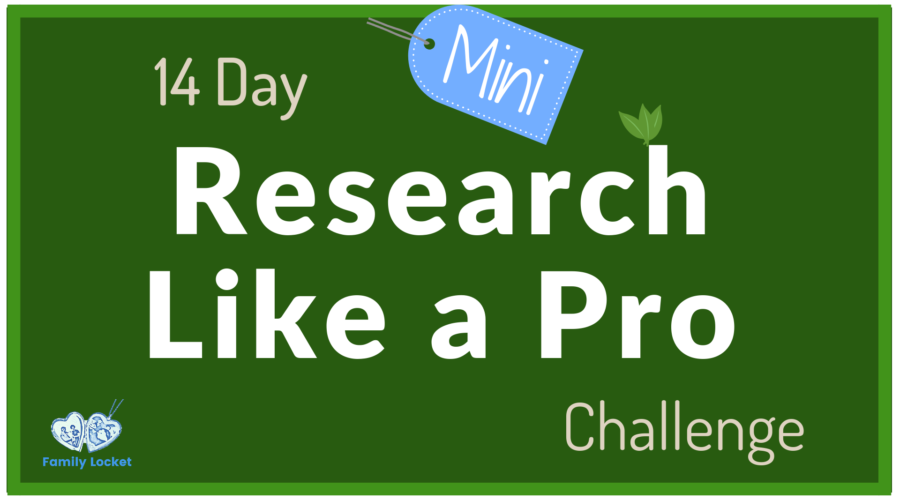 14 Day Mini Research Like a Pro Challenge