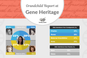 The Grandchild Report at Gene Heritage