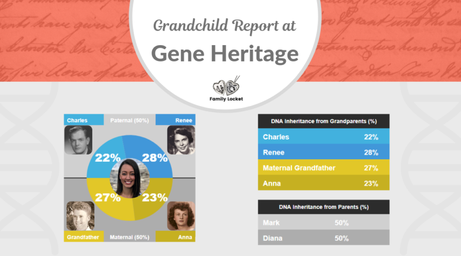 The Grandchild Report at Gene Heritage