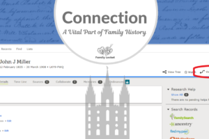 Connection:  A Vital Part of Family History