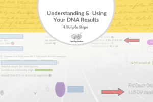 Understanding and Using Your DNA Results – 4 Simple Steps