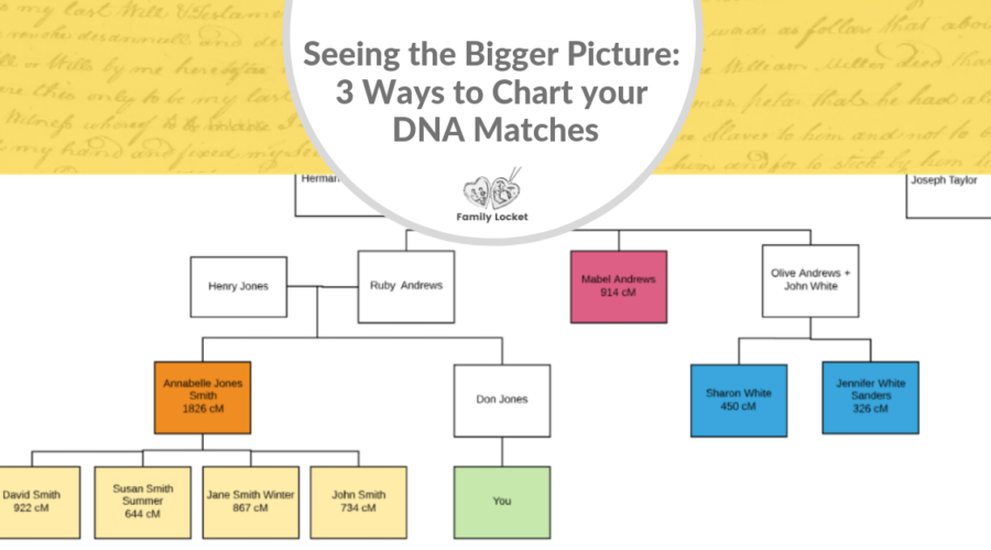 Seeing the Big Picture: 3 Ways to Chart Your DNA Matches