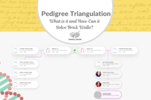 Pedigree Triangulation: What is it and How Can it Solve Brick Walls?