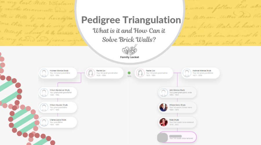 Pedigree Triangulation: What is it and How Can it Solve Brick Walls?