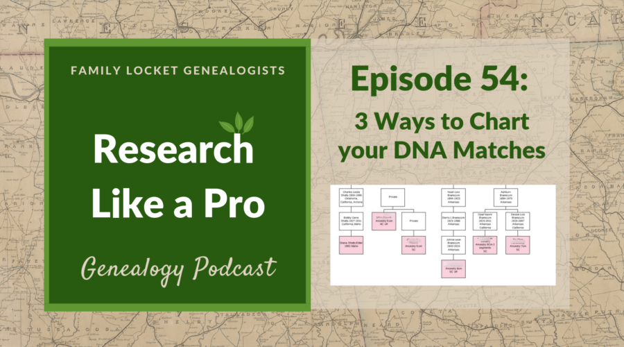 RLP 54 – Three Ways to Chart your DNA Matches