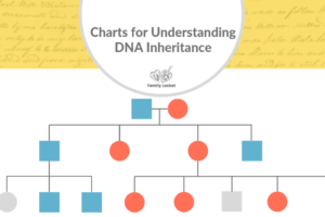 Charts for Understanding DNA Inheritance