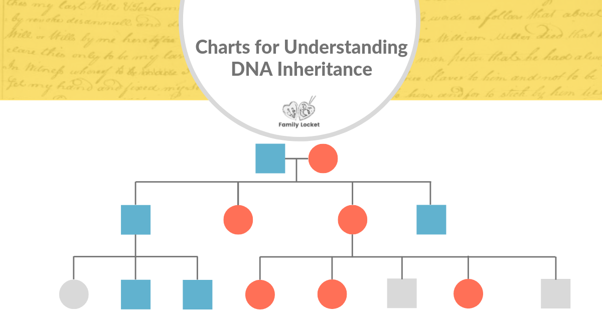 Fillable Ancestry Chart Blank Ancestry History Chart Practical Ancestry 