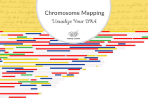 Chromosome Mapping – Visualize Your DNA and Identify the Ancestors Who Passed It On To You
