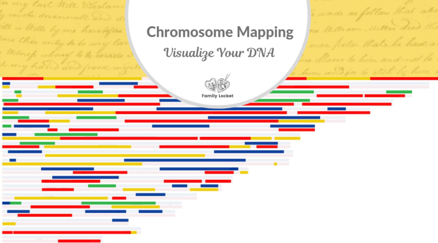 Chromosome Mapping – Visualize Your DNA and Identify the Ancestors Who Passed It On To You