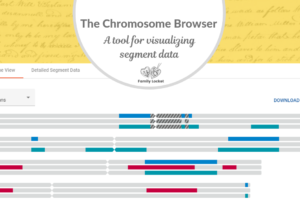 The Chromosome Browser: A Tool for Visualizing Segment Data