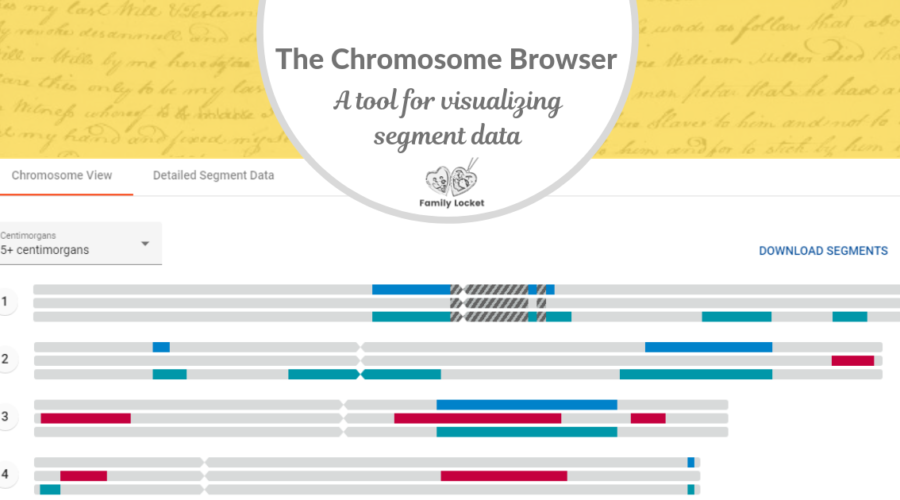 The Chromosome Browser: A Tool for Visualizing Segment Data