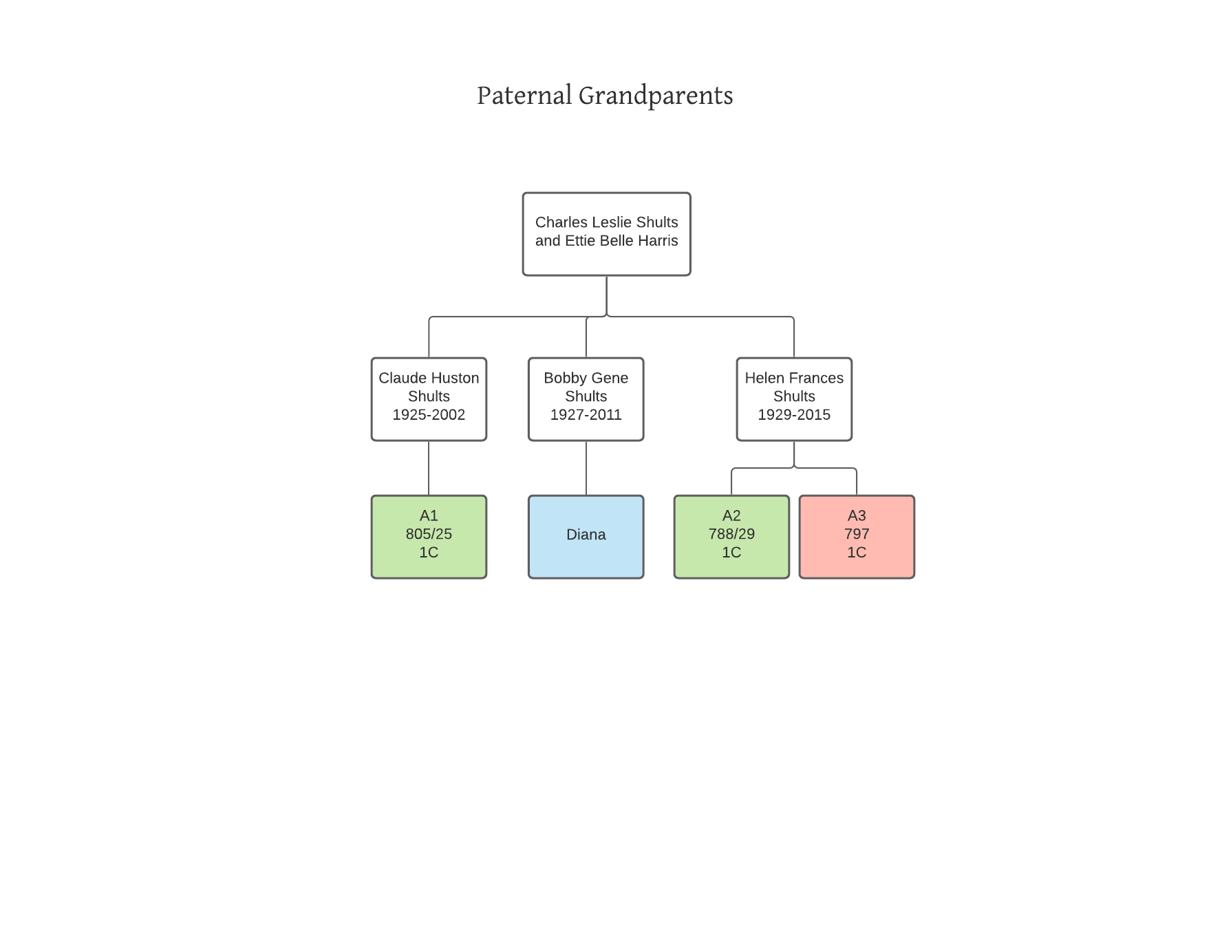 Descendancy Diagram Examples – Family Locket