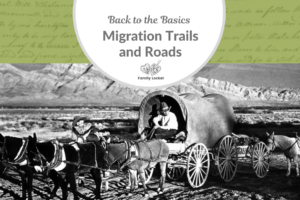 Back to the Basics: Migration Trails and Roads