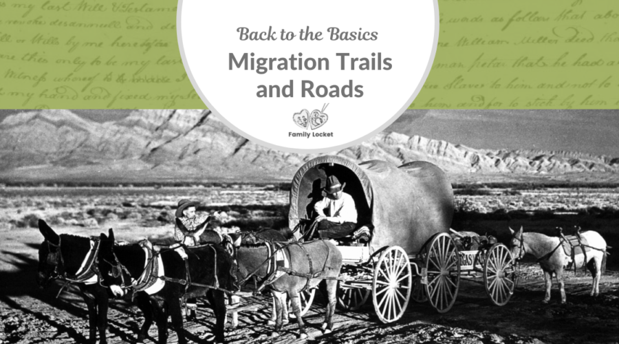 Back to the Basics: Migration Trails and Roads