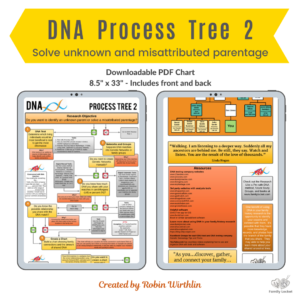 DNA Process Tree 2 Downloadable PDF