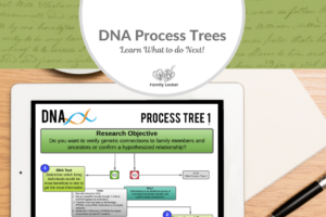 DNA Process Trees – Learn What to Do Next