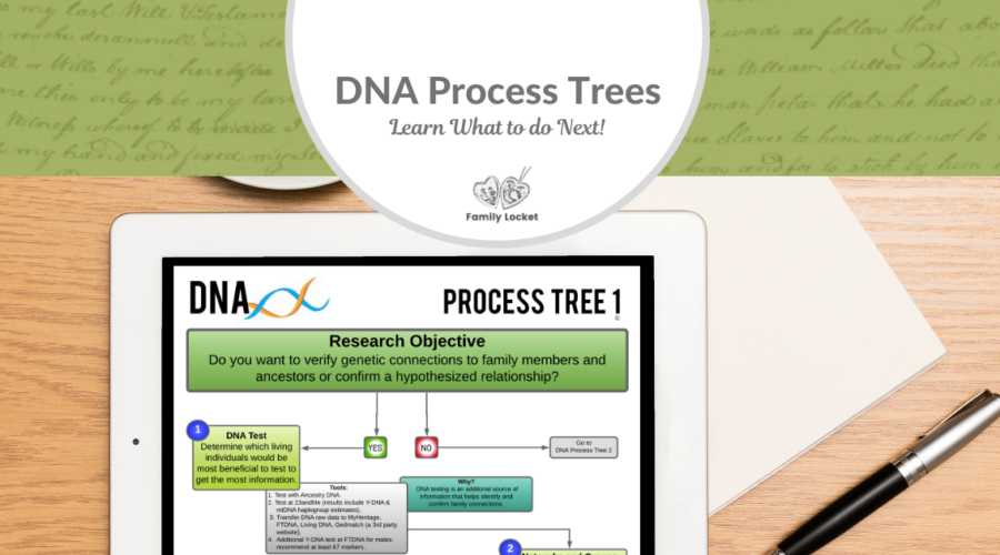 DNA Process Trees – Learn What to Do Next