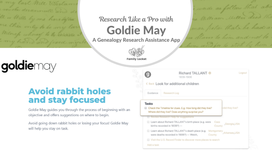 How to Research Like a Pro with Goldie May