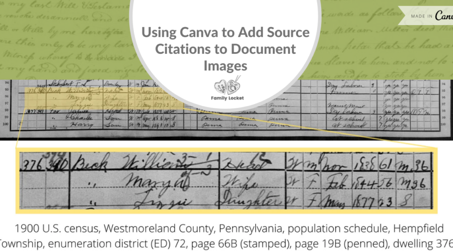 Using Canva to Add Source Citations to Document Images