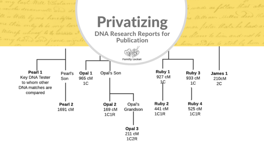 Privatizing DNA Research Reports for Publication