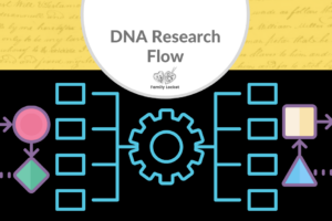 DNA Research Flow