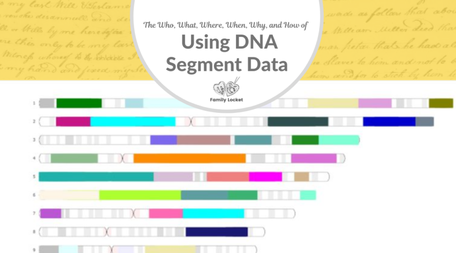 The Who, What, Where, When, Why, and How of Using DNA Segment Data